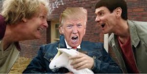 Dumb and Dumber and Dumbest2