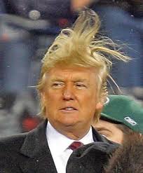 trumps-hair-4